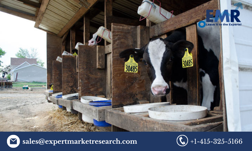 Animal Feeding Equipment Market Trends